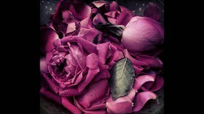 aliaa2236's profile picture. ‏لآ ﺷَﻲْﺀَ ﻳَﺴْﺘَﺤِﻖ ﺍﻟْﻌﻨَﺎﺀ ، 
ﺇﻫﺘﻢ ﺑِﻤَﻦْ ﻳَﻬْﺘَﻢ ﺑِﻚ ، ﻭَﺍِﺭْﺣَﻞْ ﻋِﻤْﻦَ ﺭِﺣَﻞَ ﻋَﻨْﻚِ ، ﻭَﻋَﺎﻣِﻞَ ﻛَﻤَﺎ ﺗُﻌَﺎﻣِﻞُ ، ﻭﺇﻧﺘﻬﻰ آﻷﻣﺮ ..