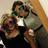 pug1337's profile image