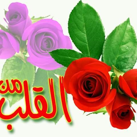 كن كالنخيل عن الأحقاد مرتفعا
                                                          تلقى بحجر فتلقى أطيب الثمر👨‍❤️‍👨