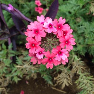 紗桜(@sao0710a)のグッズ譲渡垢。キャラ、舞台のグッズを整理しております。24時間以内に返信予定。返信遅くなる場合は一言お願いします。挨拶、振込が遅れる際の連絡、到着連絡など最低限の連絡できない方、固定ツイートなど読まれていない方とは取引しません。メルカリ非対応。