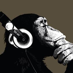 543MattyC's profile picture. One does not simply tweet