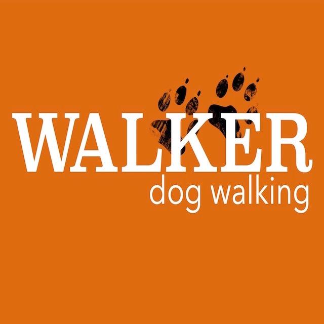 WalkerDogWalks's profile picture. Bringing professional walking services to the everyday dog. $15 for the best 30 minutes of your dogs day. 323.456.3407 call or text