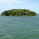 levi perry - @levi4283 - Twitter