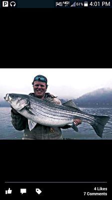 aae3f8bf48a94e0's profile picture. 