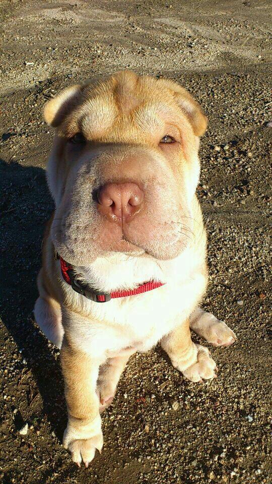 99ad56f64215419's profile picture. 