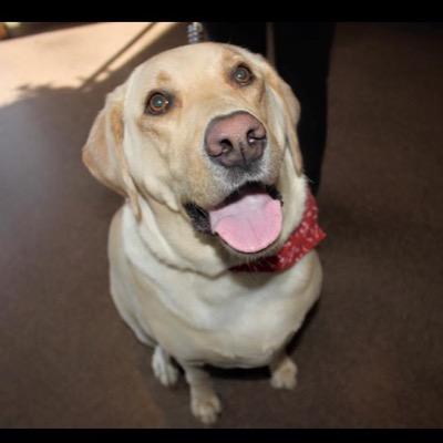 Riverwalkpets's profile picture. Riverwalk is an all inclusive Pet Boarding, Daycare & Grooming facility specializing in custom care for dogs, cats & small pets.