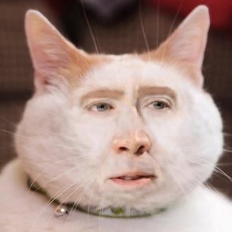 YamKettle's profile picture. First you take a yam, you put it in a bag. Next thing you know you got a yam in a bag. #HashtagWars