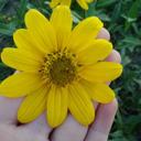 Donna Plunkett - @plunkett_donna - Twitter