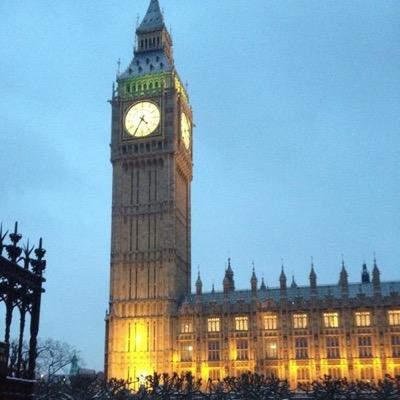 PProcurement's profile picture. Public Sector Procurement Consultancy