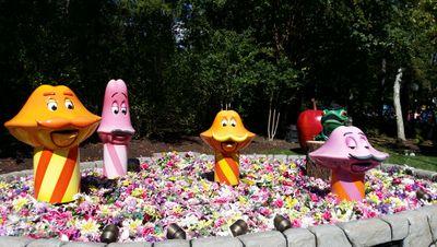 notacoolbird's profile picture. 