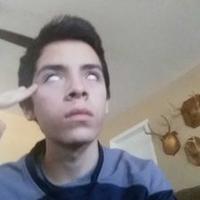 william price (@williamprice99) 's Twitter Profile
