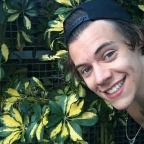 nixllhrn's profile picture. cuatro de mayo por siempre y para siempre