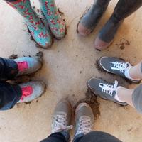 Independence Gardens (@iesgardens) Twitter profile photo