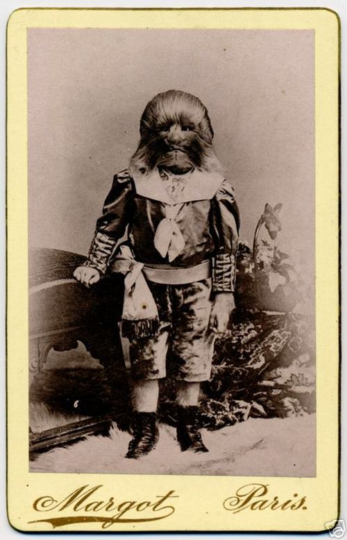 Historian/Collector of Sideshow/Dime Museum/Freakshow/Novelty/Variety