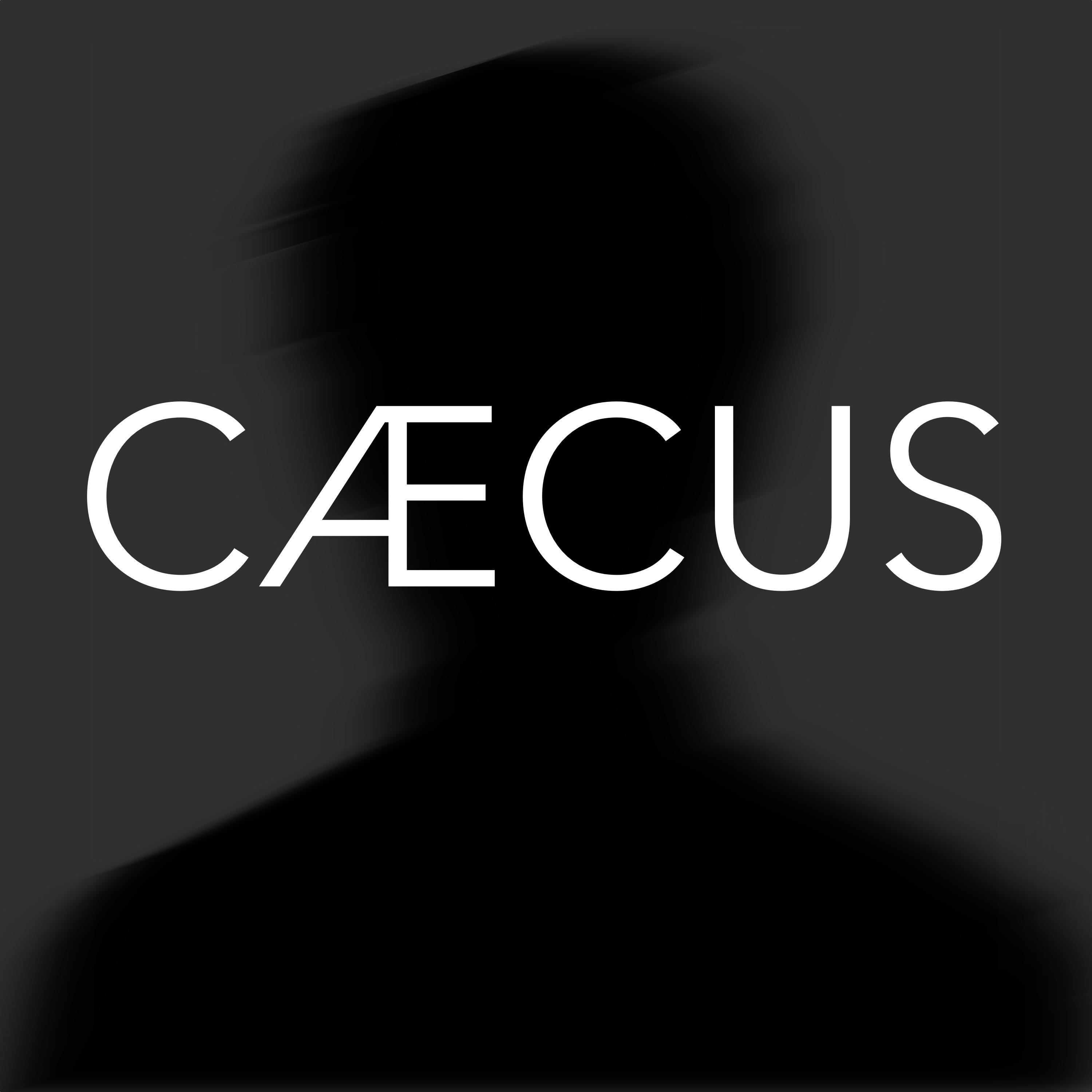 _caecus's profile picture. cæcus | latin for blind; secret, dark // all original photos.