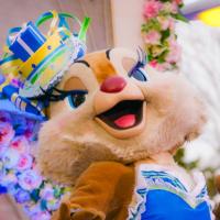 ぼすちゃん (@bosschan0818) Twitter profile photo