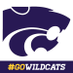 BSHS Wildcats (@TheBSWildcats) Twitter profile photo