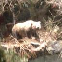 Mario Biggs - @mbiggs1014 - Twitter