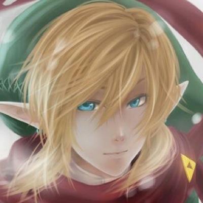 Using my courage, I will do my best to keep Hyrule free of evil.