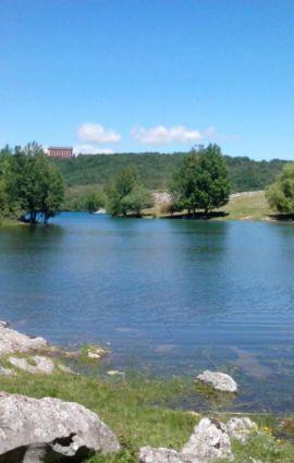 esmeestebanez's profile picture. 