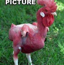 solesaver2's profile picture. 