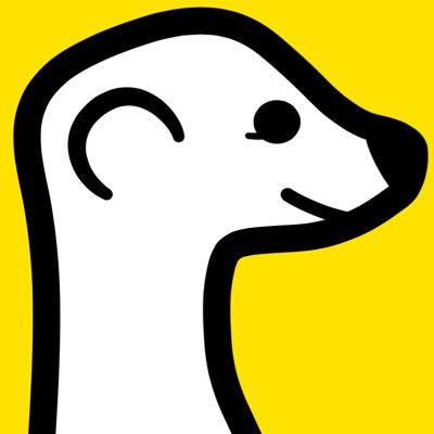 Discover the best #meerkat livestreams.