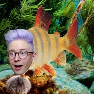 give me some good ass fish food or get the fuck out of my tank
