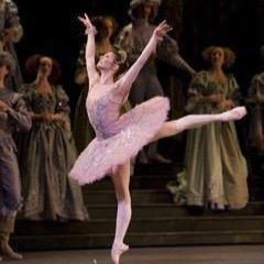 LoveShokoboo's profile picture. ballet♡sleeping beauty♡LJC