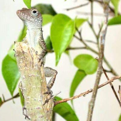 MImasuperstarr's profile picture. 