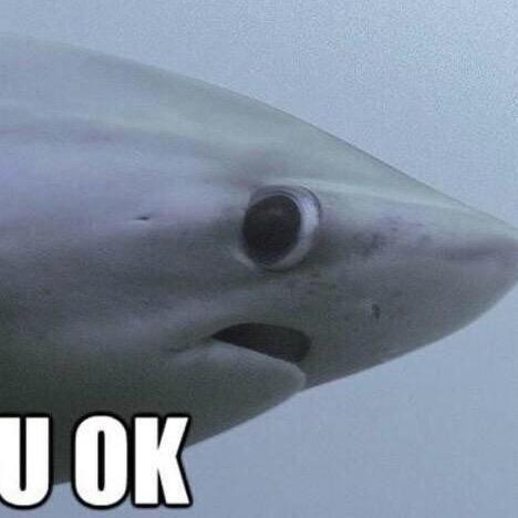 When Someone S Crying And U Just Like U Ok Hun Goodgirlwithbadthoughts Meme On Me Me