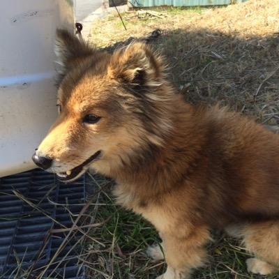 ちゃん のアバター