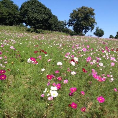 orlofs's profile picture. 