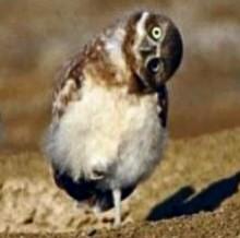 General_Of_TKK's profile picture. 