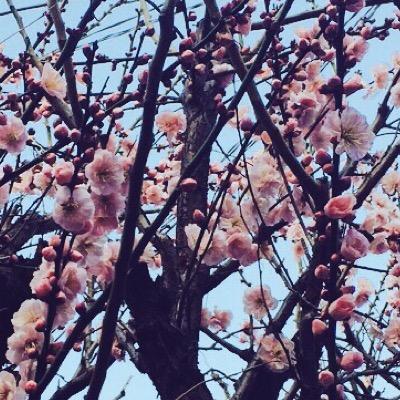 好きなものを好きなだけ精神。 お洒落可愛いもの美味しいもの美容。（´-`）.｡oO彼氏、パパいます。幸せ。