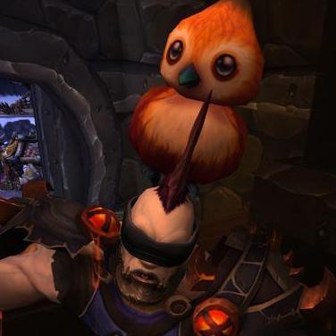 roguenstormwind's profile picture. I love my hometown of Stormwind, but people keep attacking me =(