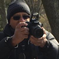 PARAMS (@params) 's Twitter Profile