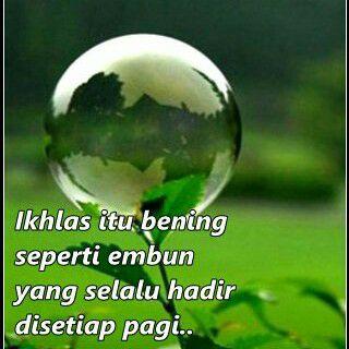 ...do the best...