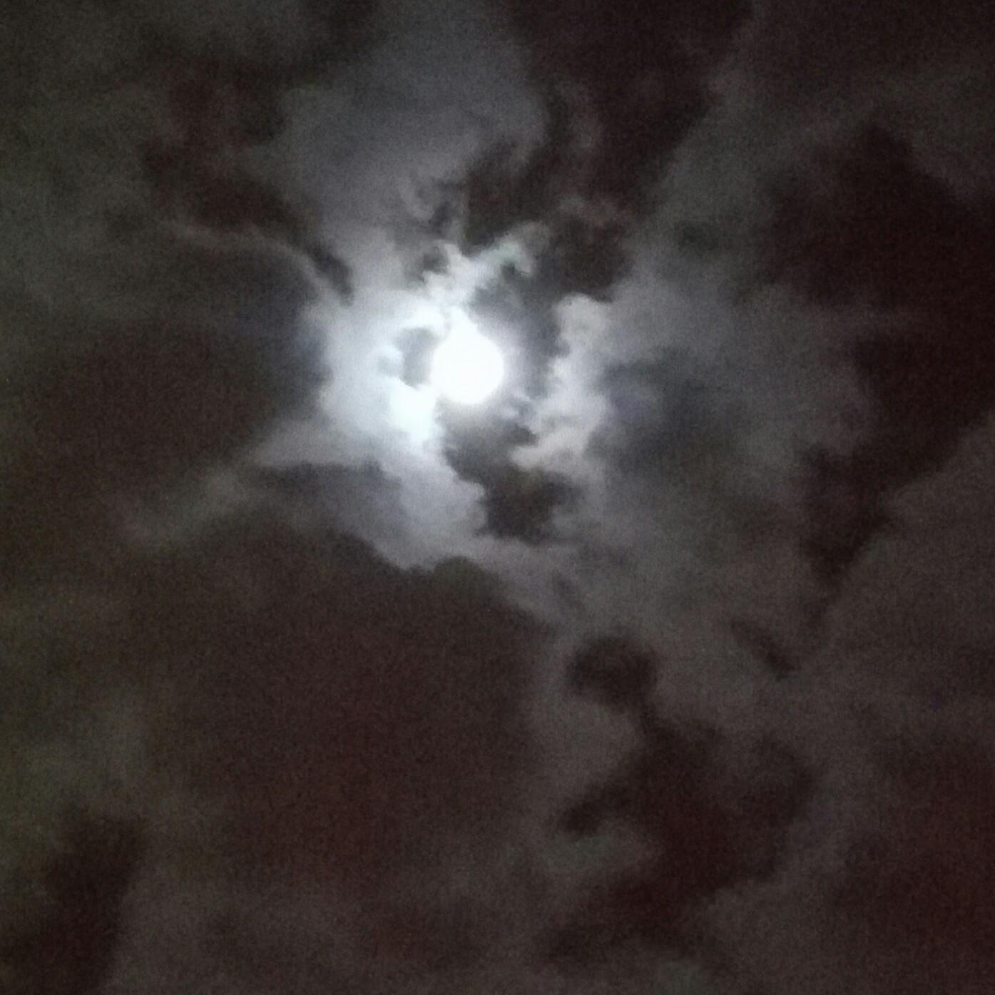 pablogarcia6900's profile picture. 