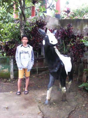 sederhana saha