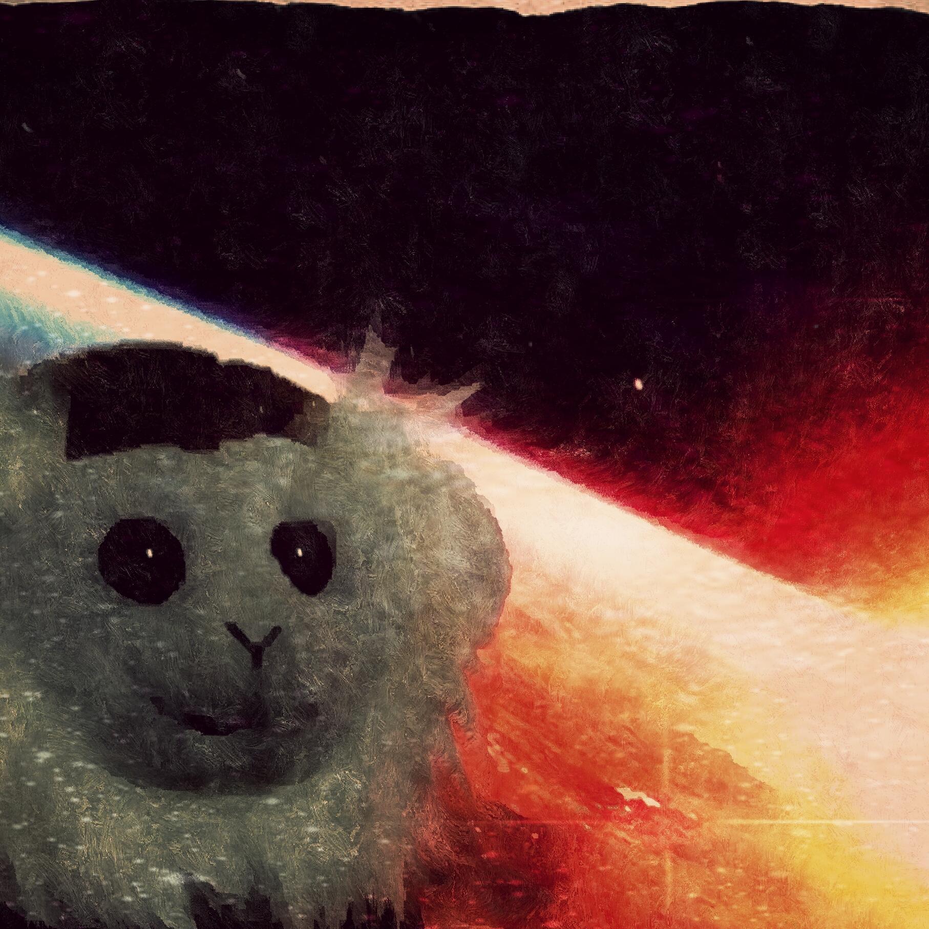 Fan of this Universe