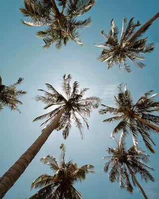 a6d932b4c9684c5's profile picture. 