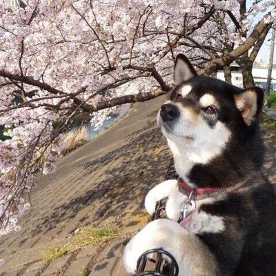 小貫孝祐