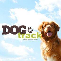 Coaching voor mens en hond