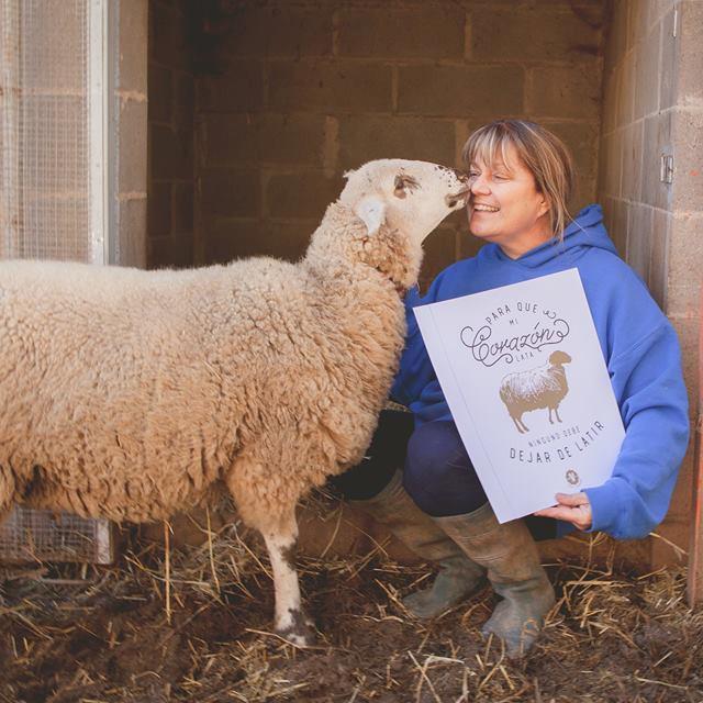 ADELEONOR's profile picture. Desde el 2001 rescatamos del maltrato caballos y animales de granja, perros y gatos. Tenemos 2 refugios en Cataluña con mas de 300 animales. Visítenos.