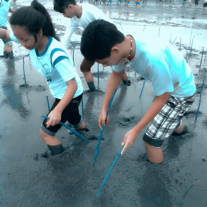 IrvinSamirvsha's profile picture. There's no fool nor idiot , its just a matter of understanding other people's perspective