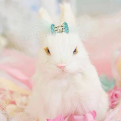 iyurikaさんのプロフィール画像
