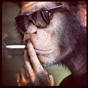 TheRevoDude's profile picture. 