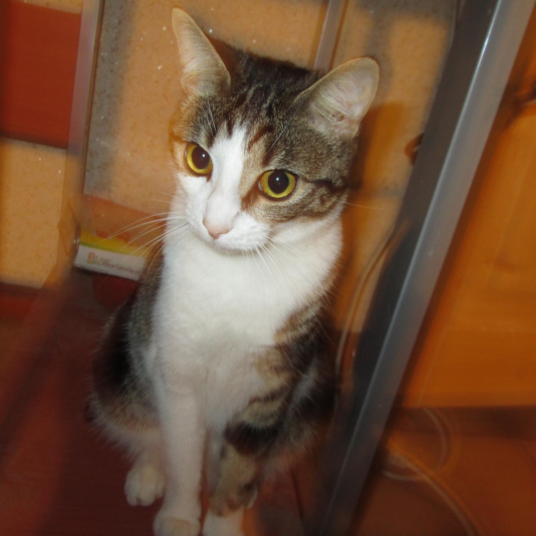 JULIEN84700's profile picture. 