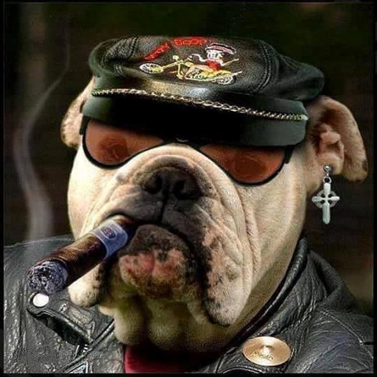 49Kramer's profile picture. 