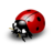 imEqqu's profile image